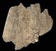 China: Shang Dynasty characters on fragments of an oracle bone dating between 1600 and 1050 BCE. British Library, Or. 7694/1516