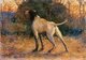 Japan: 'Dog', oil on canvas by Shigeru Aoki (1882-1911), 1910, Shimane Art Museum, Matsue