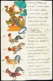 Four roosters, each representing one quarter of the year, with a male <i>yaksa</i> as 'avatar' of the birthplace with a unique waist cloth, a plant and a number diagram determining the lucky and unlucky numbers for people born in the year of the rooster.<br/><br/>

This manuscript was rescued from a burning temple in Rangoon.