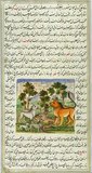 The <i>Anwar-i Suhayli</i> or 'The Lights of Canopus', commonly known as the <i>Fables of Bidpai</i> in the West, is a Persian version of the ancient Indian collection of animal fables, the <i>Panchatantra</i>. It tells a tale of a Persian physician, Burzuyah, and his mission to India, where he stumbles upon a book of stories collected from the animals who reside there.<br/><br/>

In a similar vein to the <i>Arabian Nights</i>, the fables in the manuscript are inter-woven as the characters of one story recount the next, leading up to three or four degrees of narrative embedding. Many usually have morals or offer philosophical glimpses into human behaviour, emphasising loyalty and teamwork.
