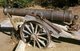 India: Cannon in the grounds of Vijaya Vilas Palace, Mandvi, Kutch, Gujarat State
