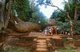 Sri Lanka: Visitors climbing Sigiriya (Lion's Rock)