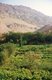 China: Vineyards in the village of Tuyoq near Turfan, Xinjiang Province