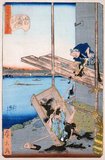 Utagawa Hirokage (active 1855-1865), also known as Ichiyusai Hirokage, was a Japanese woodblock printer living and working in the mid-19th century. He was a pupil of Utagawa Hiroshige I, and his main noteworthy work is the series <i>Edo meisho doke zukushi</i> (Joyful Events in Famous Places in Edo).