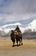 China: Bactrian camels at Lake Karakul on the Karakoram Highway, Xinjiang