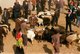 China: Livestock market and bazaar in Shufu County near Kashgar, Xinjiang Province