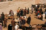 The earliest mention of Kashgar occurs when a Chinese Han Dynasty (206 BCE – 220 CE) envoy traveled the Northern Silk Road to explore lands to the west.<br/><br/>

Another early mention of Kashgar is during the Former Han (also known as the Western Han Dynasty), when in 76 BCE the Chinese conquered the Xiongnu, Yutian (Khotan), Sulei (Kashgar), and a group of states in the Tarim basin almost up to the foot of the Tian Shan mountains.<br/><br/>

Ptolemy spoke of Scythia beyond the Imaus, which is in a 'Kasia Regio', probably exhibiting the name from which Kashgar is formed.<br/><br/>

The country’s people practised Zoroastrianism and Buddhism before the coming of Islam. The celebrated Old Uighur prince Sultan Satuq Bughra Khan converted to Islam late in the 10th century and his Uighur kingdom lasted until 1120 but was distracted by complicated dynastic struggles.<br/><br/>

The Uighurs employed an alphabet based upon the Syriac and borrowed from the Nestorian, but after converting to Islam widely used also an Arabic script. They spoke a dialect of Turkic preserved in the Kudatku Bilik, a moral treatise composed in 1065.