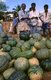Sri Lanka: Pumpkins on sale in a market in Tangalle on Sri Lanka's south coast