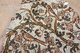 Italy: Grape vines and birds on the middle section of the 4th century CE pavement mosaic from the early Christian circular baptistery on Via Canoniche, Treviso