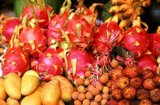 A pitaya or pitahaya is the fruit of several cactus species.<br/><br/>

'Pitaya' usually refers to fruit of the genus Stenocereus, while 'pitahaya' or 'dragon fruit' always refers to fruit of the genus Hylocereus.<br/><br/>

Haikou is the capital of Hainan province. Hainan Island is the smallest province in China.