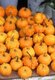 China: Pumpkins for sale in a market in Haikou, Hainan Province