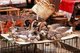 China: Geese for sale at a street market, Qingyuan, Guangdong Province