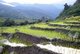 Bhutan: Mountains and ricefields in the Yepaisa valley, near Khamsum Yulley Namgyal Choeten, Yepaisa, Bhutan, 2015