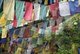 Bhutan: Prayer flags on the pathway up to Paro Taktsang (Tiger's Nest Temple), Paro Valley, Bhutan, 2015
