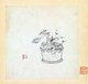 China: 'Miscellaneous Studies'. Plant and pot. Album of twelve paintings by Chen Hongshou (1598-1652), 1619