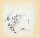 China: 'Miscellaneous Studies'. Flower. Album of twelve paintings by Chen Hongshou (1598-1652), 1619
