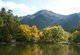Japan: Autumn leaves at Kinrin Lake, Yufuin, Oita District, Kyushu