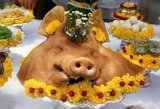 Pig's heads are often used in Thai blessing ceremonies, such as a new business venture or building a house. They will accompany other food and drink items, including rice whisky, as offerings to locality spirits.