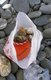 Taiwan: An Amis beachcomber's bag of sea-washed marble pebbles, East Coast National Scenic Area