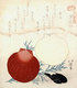 Japan: 'Shellfish'. Woodblock print by Totoya Hokkei (1780-1850), early 19th century