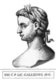 Italy: Gallienus (218-268), 41st Roman emperor, from the book <i>Romanorvm imperatorvm effigies: elogijs ex diuersis scriptoribus per Thomam Treteru S. Mariae Transtyberim canonicum collectis</i>, c. 1583