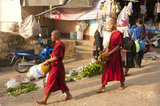 Thailand: Buddhist monks on their early morning almsround through the market at Doi Mae Salong (Santikhiri), Chiang Rai Province. Doi Mae Salong was once an impoverished, heavily-armed Kuomintang (KMT) outpost, it is today a tranquil oasis of tea gardens, fruit orchards and Yunnanese-style houses.