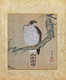Japan: 'Album of Hawks and Calligraphy'. Album of nine paintings by Kano Tsunenobu (1636-1713), late 17th century