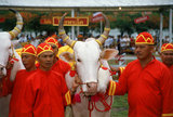 The Royal Ploughing Ceremony is an ancient Brahman ritual held each year in Bangkok at Sanam Luang in front of the Grand Palace. The event is performed to gain an auspicious start to the rice growing season. Sacred white oxen plough the Sanam Luang field, which is then sown with seeds blessed by the king. Farmers then collect the seeds to replant in their own fields. This ceremony is also performed in Cambodia and Sri Lanka.