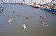 China: Goods being transported on the Huangpu Jiang (Huangpu River) from the Yangzi (Yangtze) River, Shanghai
