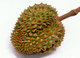 World: Durian (<i>Durio sensu lato</i> is a large fruit native to Southeast Asia