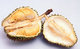 World: Durian (<i>Durio sensu lato</i> is a large fruit native to Southeast Asia