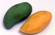World: An unripe green mango and a ripe yellow mango, the fruit of the mango tree (<I>Mangifera indica</i>)