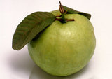 World: Green Thai guava (<i>Psidium guajava</i>), a variant of the tropical fruit cultivated in many tropical and subtropical regions. Guava is a small tree in the myrtle family (Myrtaceae), native to Mexico, Central America, the Caribbean and northern South America. The most frequently eaten species is the apple guava.
